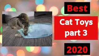 Best Cat Toys of 2020 You can buy Part 3