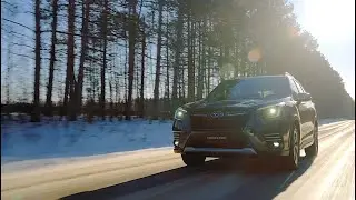 2023 Subaru Forester and Forester Wilderness Walk-around