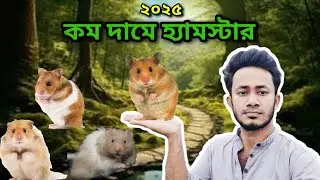 Syrian Hamster Price in Bangladesh | Syrian Hamster Price in Bangladesh | Hamster Price 2025 | My...