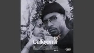 20 Barras (feat. Mic Ronny)