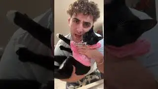 ПЕРЕСТАНЬТЕ делать это со своей кошкой&hellip;