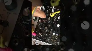 Procyon crushing a sine wave #synth #eurorack #stazma