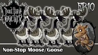 FOUR MOOSE GOOSE FIGHTS? | Don't Starve Together Wortox EP10