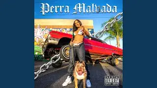 Perra Malvada