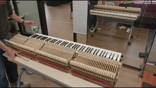 三角琴REGULATION-1