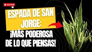 &iexcl;ACTIVA EL PODER DE LA ESPADA DE SAN JORGE! 🌿🔥 Protege tu energ&iacute;a y abre tus caminos