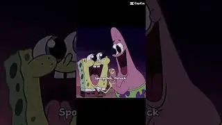Best friends forever 