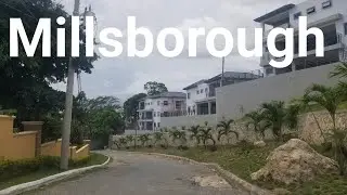 Millsborough Neighbourhood | Jamaica