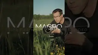 Tips for Macro Photography & Nature Videos #shorts