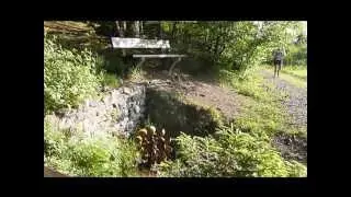 Trail-Challenge