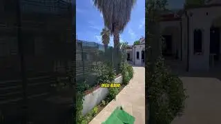 VI PIACE?? #bestfriend #youtubeshorts #shorts #shortvideos #perte #bestfriend #weedy #comedyvideos
