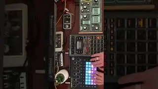 Dawless Synthwave track with the Circuit Tracks and SP404