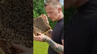 #bee #lovebees #honeybee #beesneeds #bee #beefriendly #honeycomb