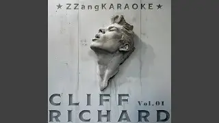 We Don't Talk Anymore (By Cliff Richard)