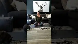 AB Physio & Yoga  Therapy - Hatha Yoga