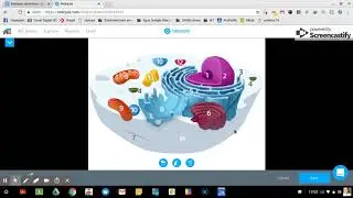 Nearpod en introduktion
