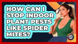 How Can I Stop Indoor Plant Pests Like Spider Mites? - The Everyday Why