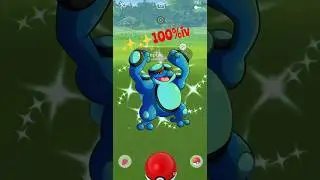 🤯✨shiny Palpitoad ❄pokemon go in shiny hunting #pokemon