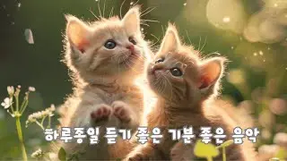 괜히 웃음 나는 날 🌷 기분 좋은 힐링 플레이리스트#기분좋은날 #힐링음악 #카페음악 #잔잔한음악#기분좋은음악 #힐링플레이리스트 #감성음악#하루힐링 #편안한음악
