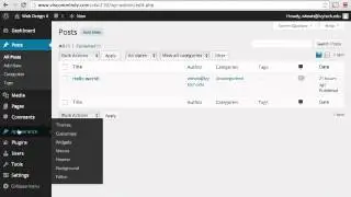 Wordpress Basics: Posts and Pages