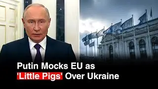 Путин назвал европейских лидеров &laquo;поросятами&raquo;, резко осудив союзников Киева.
