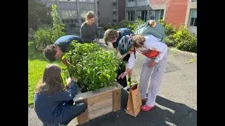 Pepper Power