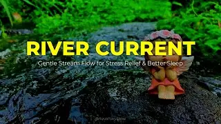 RIVER CURRENT - Gentle Stream Flow for Stress Relief & Better Sleep