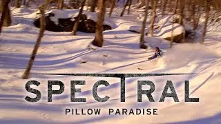 Spectral 11 - Pillow Paradise