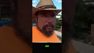 Can You DIY a Pool Deck Repair  Let's Find Out #concretelife #concrete #concreteworks
