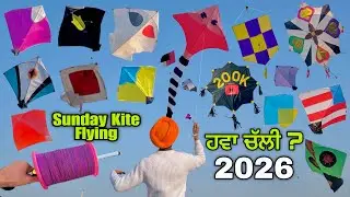 Kite flying on sunday, 2026, lohri, basant panchami, ludhiana, amritsar