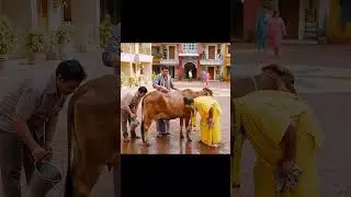 जय बागेश्वर सरकार, लीनो कलयुग में अवतार || Jai Jai Bagheshwar Sarkar Lino Kalyug Me Avtar II