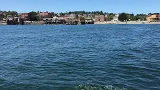Pax Sailing Port Townsend in the time of Covid