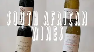 SOUTH AFRICAN WINES - MARCH WINE CLUB