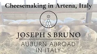 Cheese making at organic farm in Artena, Italy