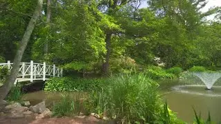 4K UHD Sayen Park, one of the Best Magical Garden in New Jersey, guaranteed to Love  Episode 2