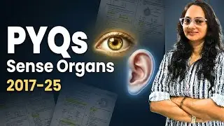 Sense Organs PYQs (2017&ndash;2025) | ICSE Class 10 Biology | Exam-Focused