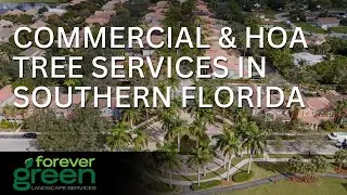 HOA and Commercial Tree Services for Improved Aesthetics & Property Value
