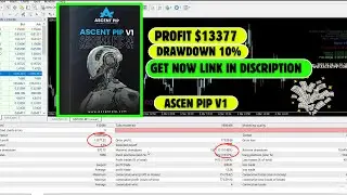 Ascent Pip V1 MT4 EA &ndash; Advanced Forex Robot | No DLL | Live Test & Review