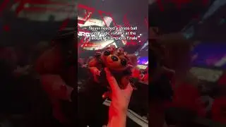 Tactibear IRL Flex?? #valorantchampions #valorant
