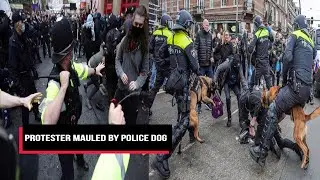Police Set Dogs On Protesters At Massive Anti-Lockdown Rally | Cobrapost