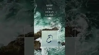 The Dolphin - get it right now! #jewelry #beauty #fashion #ocean #ring #amazoncanada #love #amazon