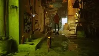 Stray Bug
