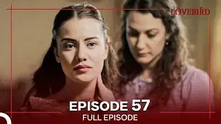 Lovebird Episode 57