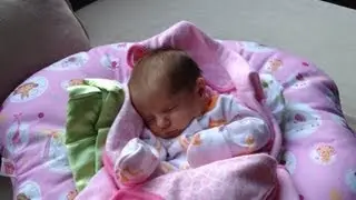 Video Blog featuring baby Bentley and rivaL xfactor