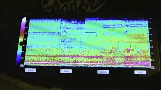 Feedback loop experiment (LOUD)