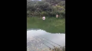 Divljansko jezerko prihrana pozicije na saranov nacin