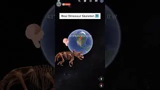 I Found Real Dinosaur Skeleton 🩻 On Google Earth #shorts #googleearth