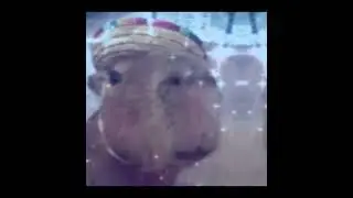 Slay x Dancin capybara Edit
