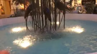 INDOOR SWIMMING POOL AT THE MALL?