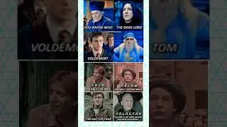 The ONLY Harry Potter Character We All Love! ❤️🪄 #harrypotter #memeshorts